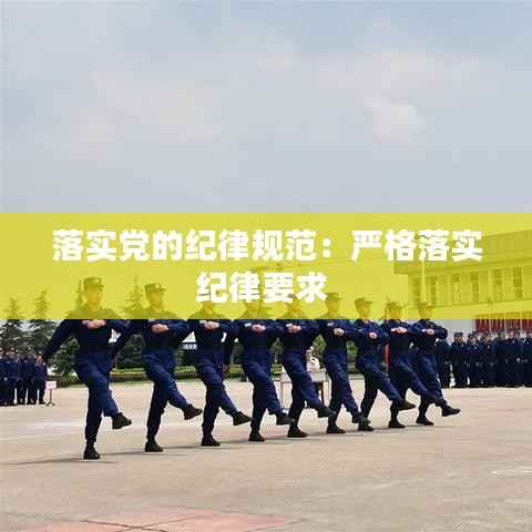 落实党的纪律规范:严格落实纪律要求