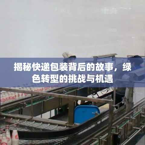 揭秘快递包装背后的故事,绿色转型的挑战与机遇