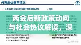 两会后新政策动向与社会热议解读，深度剖析报告