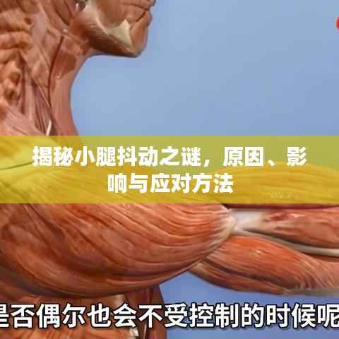 揭秘小腿抖动之谜,原因、影响与应对方法