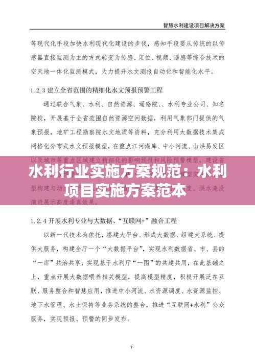 水利行业实施方案规范:水利项目实施方案范本