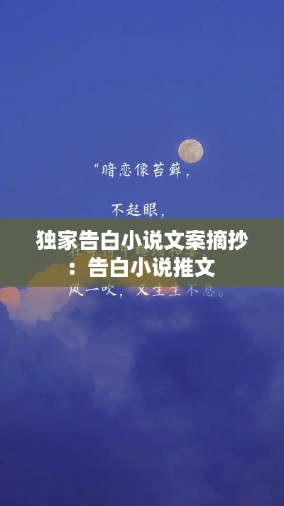 独家告白小说文案摘抄:告白小说推文