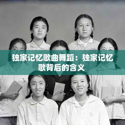 独家记忆歌曲舞蹈:独家记忆歌背后的含义