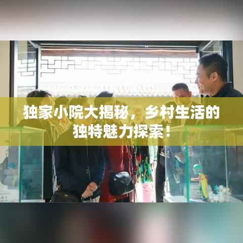 独家小院大揭秘,乡村生活的独特魅力探索!