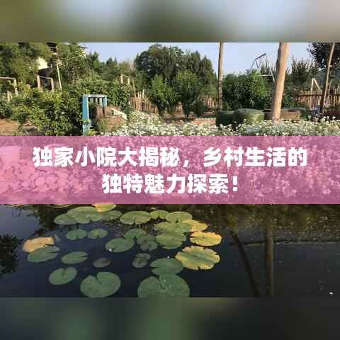 独家小院大揭秘,乡村生活的独特魅力探索!