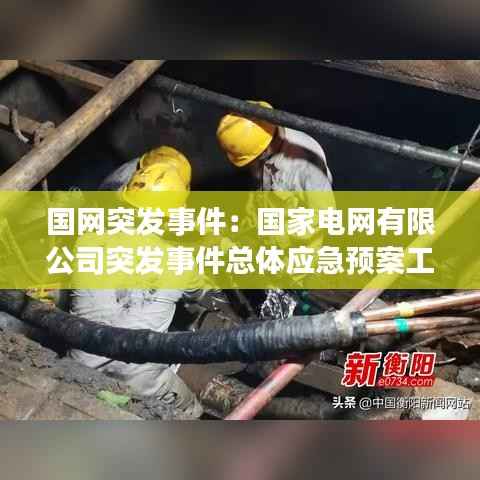 国网突发事件:国家电网有限公司突发事件总体应急预案工作原则