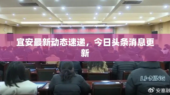宜安最新动态速递,今日头条消息更新