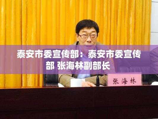 泰安市委宣传部：泰安市委宣传部 张海林副部长 