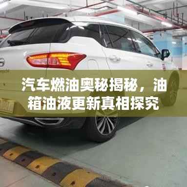 汽车燃油奥秘揭秘,油箱油液更新真相探究