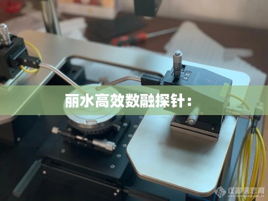 丽水高效数融探针: