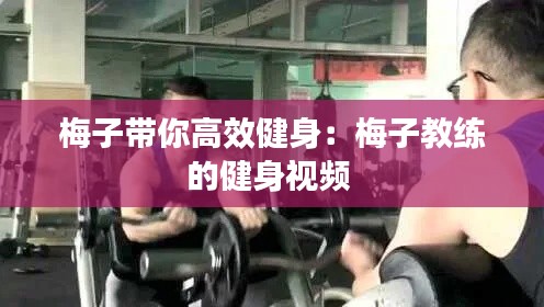 梅子带你高效健身:梅子教练的健身视频