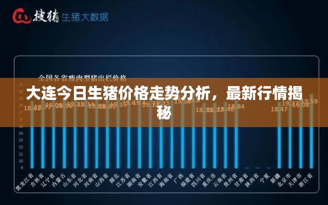 大连今日生猪价格走势分析,最新行情揭秘