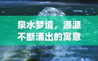泉水梦境，源源不断涌出的寓意与启示