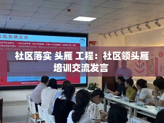 社区落实 头雁 工程:社区领头雁培训交流发言