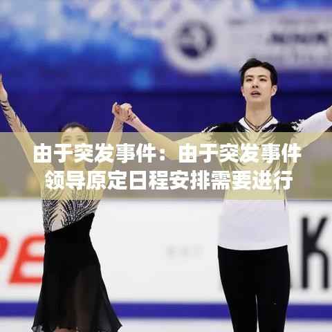 由于突发事件:由于突发事件 领导原定日程安排需要进行调整