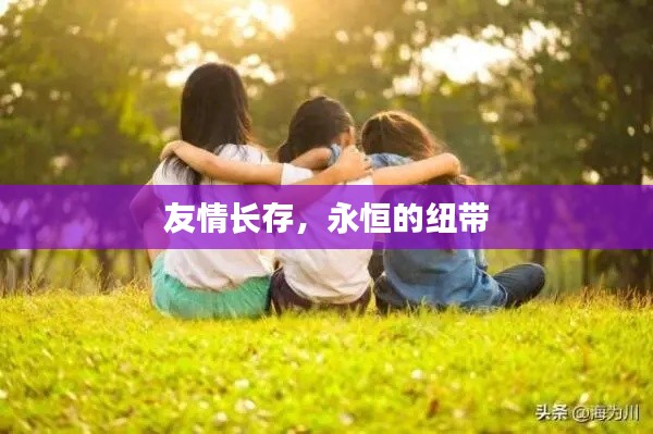 友情长存,永恒的纽带