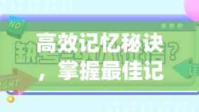 高效记忆秘诀,掌握最佳记忆方法!