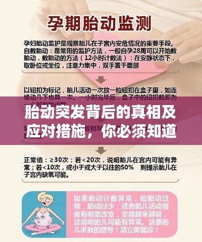 胎动突发背后的真相及应对措施,你必须知道!