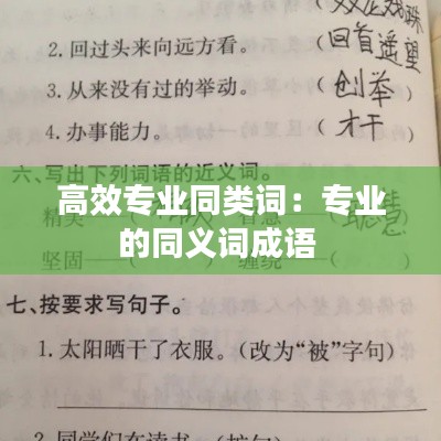 高效专业同类词:专业的同义词成语