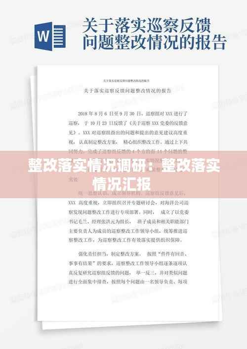 整改落实情况调研:整改落实情况汇报