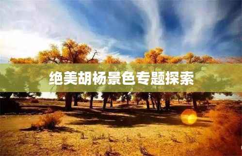 绝美胡杨景色专题探索