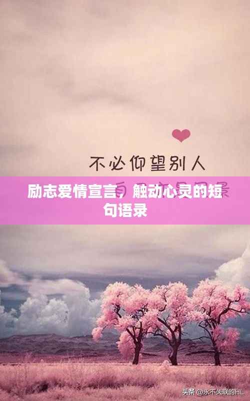 励志爱情宣言,触动心灵的短句语录