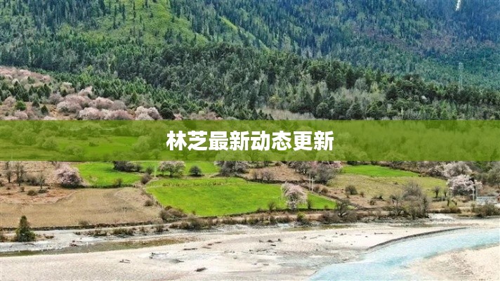 比张比李 第5页