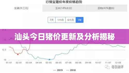 汕头今日猪价更新及分析揭秘