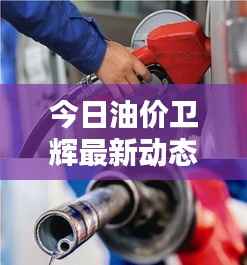 今日油价卫辉最新动态,最新油价资讯速递