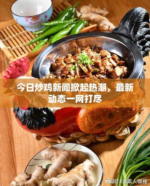 今日炒鸡新闻掀起热潮,最新动态一网打尽