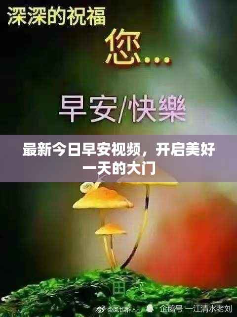 最新今日早安视频,开启美好一天的大门