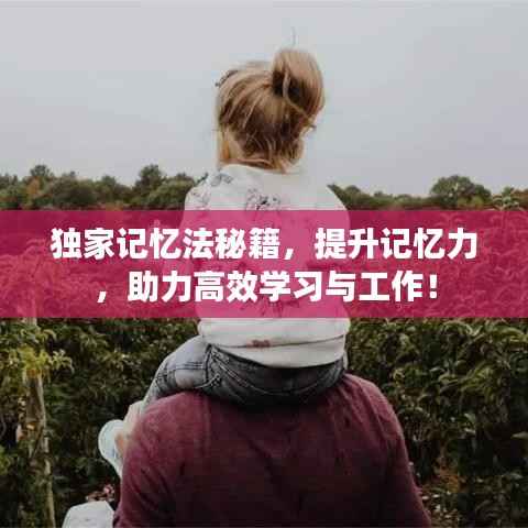 独家记忆法秘籍,提升记忆力,助力高效学习与工作!