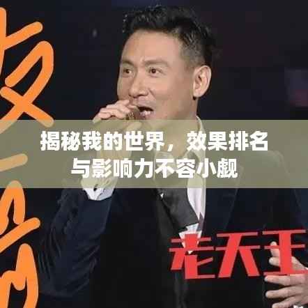 揭秘我的世界,效果排名与影响力不容小觑