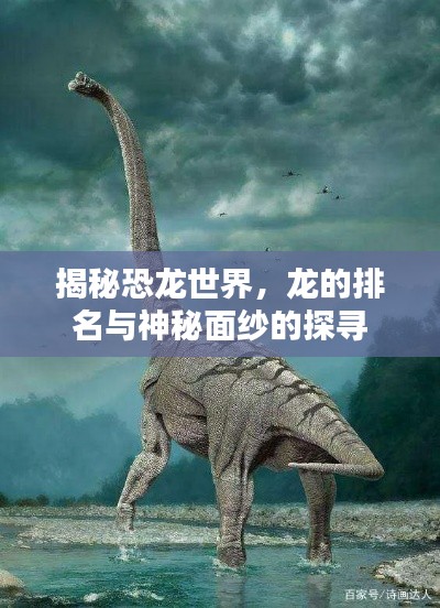 揭秘恐龙世界,龙的排名与神秘面纱的探寻