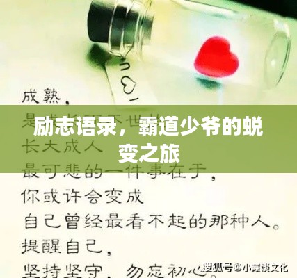 励志语录,霸道少爷的蜕变之旅