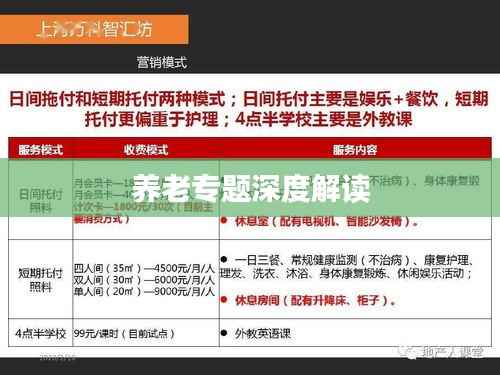 养老专题深度解读