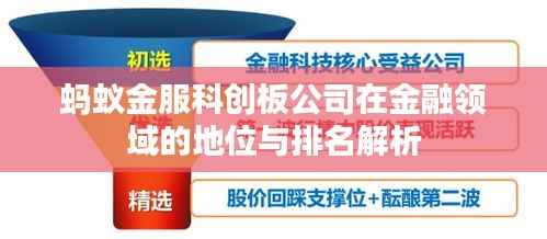 蚂蚁金服科创板公司在金融领域的地位与排名解析