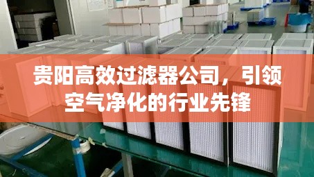 贵阳高效过滤器公司,引领空气净化的行业先锋