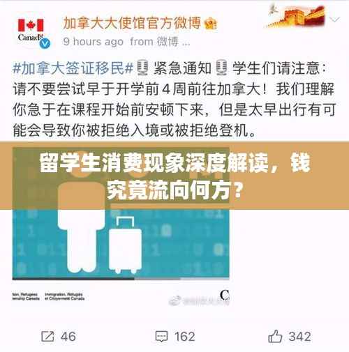 留学生消费现象深度解读,钱究竟流向何方?