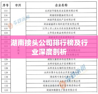 湖南接头公司排行榜及行业深度剖析