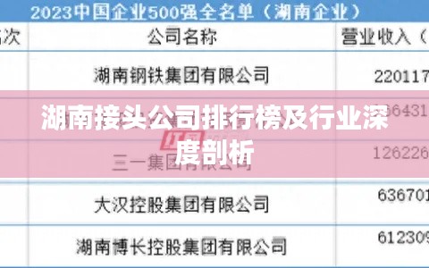 湖南接头公司排行榜及行业深度剖析