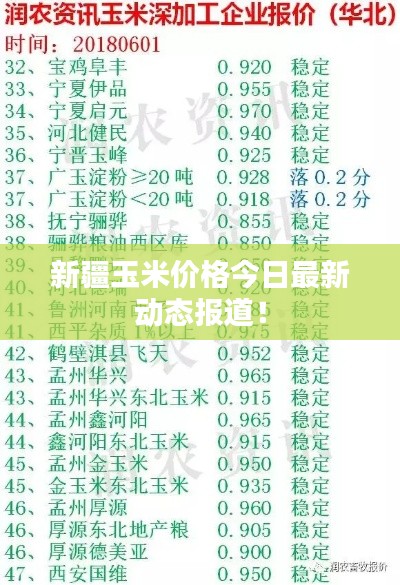 新疆玉米价格今日最新动态报道!