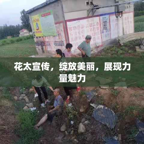 弃文就武 第5页