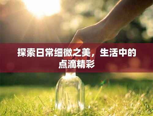 探索日常细微之美,生活中的点滴精彩