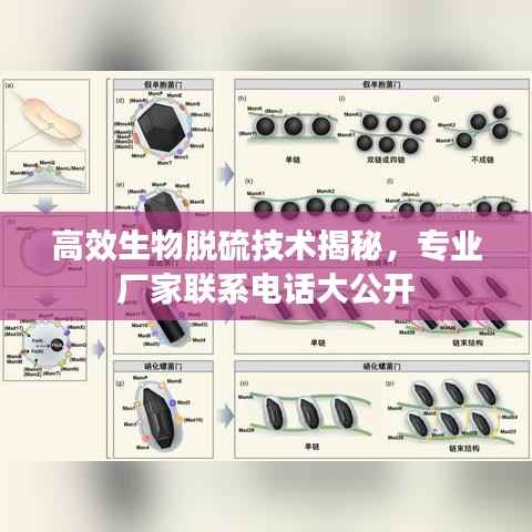 反正还淳 第5页