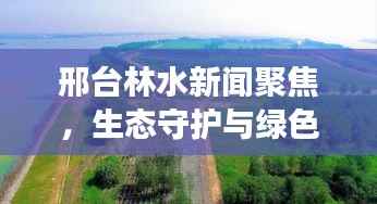 邢台林水新闻聚焦,生态守护与绿色发展融合之路
