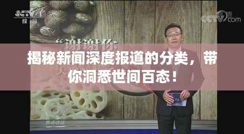 揭秘新闻深度报道的分类，带你洞悉世间百态！
