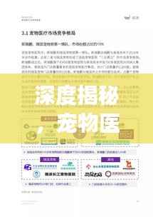 深度揭秘,宠物医生的专业之声——专业解读,深度报道