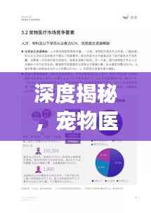 深度揭秘,宠物医生的专业之声——专业解读,深度报道