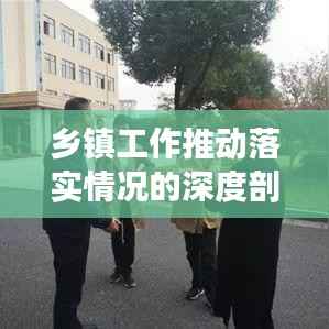 乡镇工作推动落实情况的深度剖析与探讨